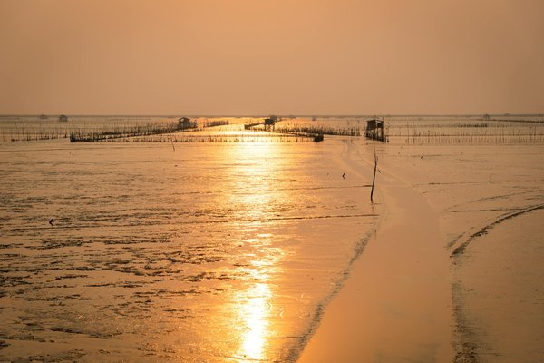 Quelle est la manière la plus authentique d'explorer les rizières en terrasses de Bali?